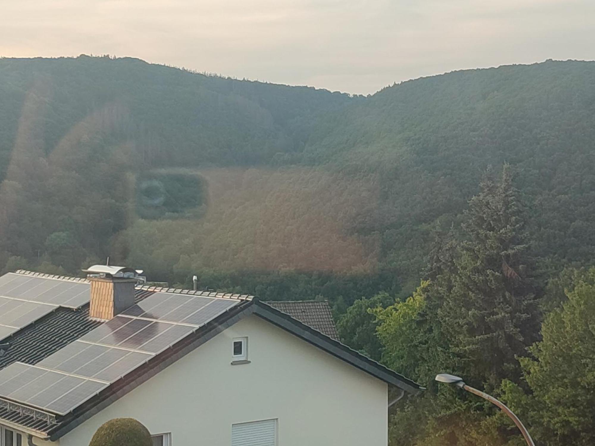 Apartament Kermeterblick Schleiden Pokój zdjęcie